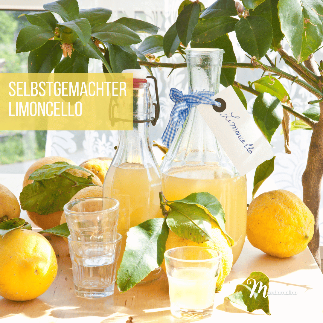 SELBSTGEMACHTER LIMONCELLO – Italien zu Hause genießen